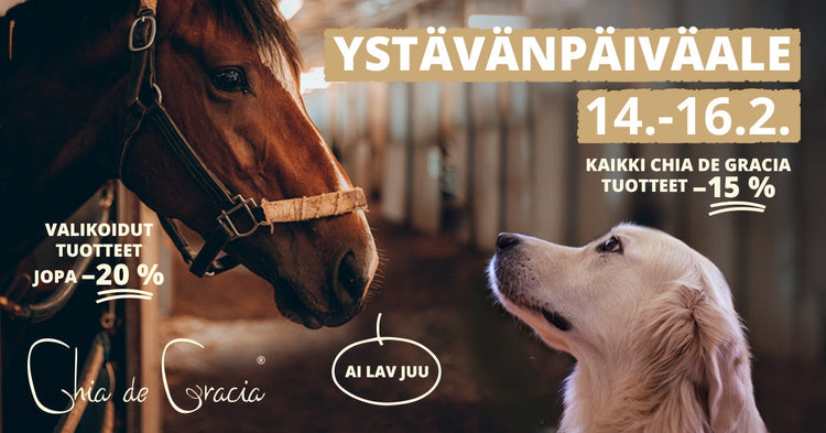 Ystävänpäiväale - 20 %