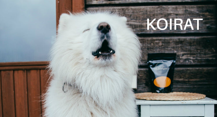 Chia de Gracian tuotteet koirille